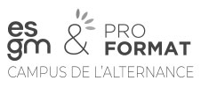 ESGM_partenaire